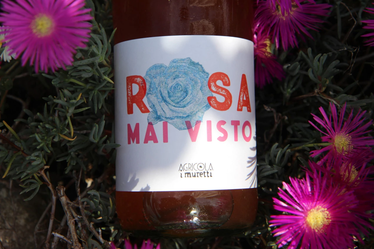 Rosamaivisto